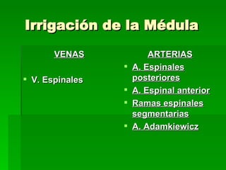 Irrigación de la Médula VENAS V. Espinales ARTERIAS A. Espinales posteriores A. Espinal anterior Ramas espinales segmentarias A. Adamkiewicz 