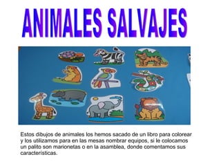 ANIMALES SALVAJES E Estos dibujos de animales los hemos sacado de un libro para colorear y los utilizamos para en las mesas nombrar equipos, si le colocamos un palito son marionetas o en la asamblea, donde comentamos sus características. 