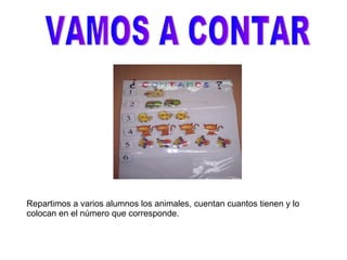 VAMOS A CONTAR Repartimos a varios alumnos los animales, cuentan cuantos tienen y lo colocan en el número que corresponde. 