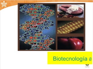 Biotecnología aplicada 