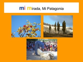 m i  m irada, Mi Patagonia 