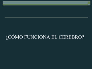 ¿CÓMO FUNCIONA EL CEREBRO? 