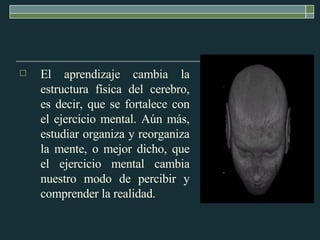 El aprendizaje cambia la estructura física del cerebro, es decir, que se fortalece con el ejercicio mental. Aún más, estudiar organiza y reorganiza la mente, o mejor dicho, que el ejercicio mental cambia nuestro modo de percibir y comprender la realidad. 