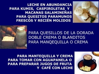 LECHE EN ABUNDANCIA  PARA KUMIS,  CASPIROLETAS  Y  MACANAS SALAMINEÑAS  PARA QUESITOS PARAMUNOS  FRESCOS Y RECIÉN MOLIDOS  PARA MANTEQUILLA Y CREMA PARA TOMAR CON AGUAPANELA O  PARA PREPARAR JUGOS DE FRUTA  Y  CAFÉ CON LECHE PARA QUESILLOS DE LA DORADA DOBLE CREMA O BLANDITOS PARA MANQEQUILLA O CREMA 