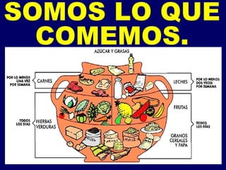 SOMOS LO QUE COMEMOS. 