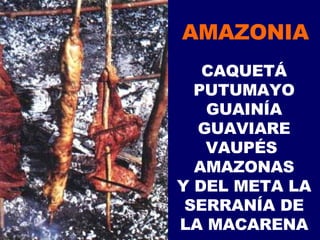 AMAZONIA CAQUETÁ PUTUMAYO GUAINÍA GUAVIARE VAUPÉS  AMAZONAS Y DEL META LA SERRANÍA DE LA MACARENA 