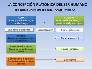 LA CONCEPCIÓN PLATÓNICA DEL SER HUMANO
       SER HUMANO ES UN SER DUAL COMPUESTO DE

         ALMA                                             CUERPO
 Es la parte inmortal, el                         Es la cárcel del alma, su
                                      y
      auténtico yo                                parte mortal y corrupta

Que tiene 3 funciones            Localizadas en       3 partes del cuerpo

         Racional.
Fuente de la Inteligencia y el                        Cabeza (cerebro)
       Conocimiento

  Irascible o Emocional
 Fuente de los sentimientos                            Pecho (corazón)
          nobles


Concupiscible o apetitiva                                Bajo vientre
Fuente de los deseos y bajas
         pasiones
 