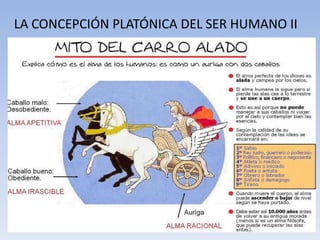 LA CONCEPCIÓN PLATÓNICA DEL SER HUMANO II
 