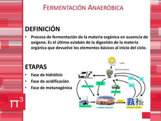 FERMENTACIÓN ANAERÓBICA

DEFINICIÓN
• Proceso de fermentación de la materia orgánica en ausencia de
  oxígeno. Es el último eslabón de la digestión de la materia
  orgánica que devuelve los elementos básicos al inicio del ciclo.



ETAPAS
• Fase de hidrólisis
• Fase de acidificación
• Fase de metanogénica




                                                                 5
 