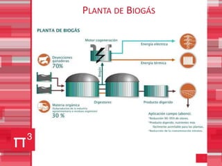 PLANTA DE BIOGÁS




                   7
 