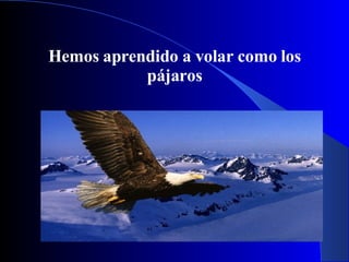 Hemos aprendido a volar como los pájaros 