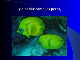 y a nadar como los peces,   