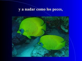 y a nadar como los peces, 
 