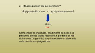 a) ¿Cuáles pueden ser sus genotipos?
pigmentación normal x

pigmentación normal

Albino

aa
Como indica el enunciado, el albinismo se debe a la
presencia de dos alelos recesivos a, por tanto el hijo
albino tiene un genotipo aa y ha recibido un alelo a de
cada uno de sus progenitores.

 