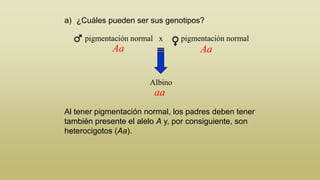 a) ¿Cuáles pueden ser sus genotipos?
pigmentación normal x

Aa

pigmentación normal

Aa
Albino

aa
Al tener pigmentación normal, los padres deben tener
también presente el alelo A y, por consiguiente, son
heterocigotos (Aa).

 