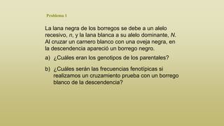 Problema 1

La lana negra de los borregos se debe a un alelo
recesivo, n, y la lana blanca a su alelo dominante, N.
Al cruzar un carnero blanco con una oveja negra, en
la descendencia apareció un borrego negro.
a) ¿Cuáles eran los genotipos de los parentales?

b) ¿Cuáles serán las frecuencias fenotípicas si
realizamos un cruzamiento prueba con un borrego
blanco de la descendencia?

 