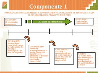 Componente 1   SELECCIÓN : 20 propuestas Innovadoras INCUBACIÓN:  Desarrollo de capacidades para la elaboración del prototipo tecnológico y un plan de negocios RESULTADO: 5 estrategias empresariales  2-3 años de “inversión” PROGRAMA DE FORTALECIMIENTO Y ACOMPAÑAMIENTO A CREADORES DE TECNOLOGÍA PARA EL DESARROLLO DEL PROYECTO RAMP PERÚ LANZAMIENTO: Asesoría, acompañamiento y apoyo financiero para llevar el producto al mercado mediante una estrategia empresarial CRECIMIENTO: Asesoría y acompañamiento en el crecimiento y diversificación de la estrategia empresarial SALIDA:  Asesoría para que la estrategia empresarial pueda plantear su  sostenibilidad a futuro 