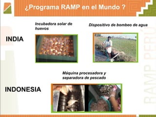 ¿Programa RAMP en el Mundo ? Incubadora solar de huevos Dispositivo de bombeo de agua INDIA   INDONESIA   Máquina procesadora y separadora de pescado 