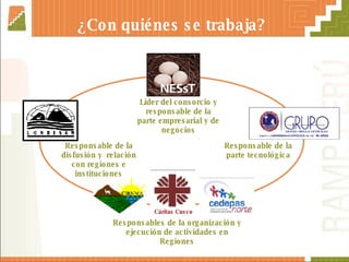 ¿Con quiénes se trabaja?   Cáritas Cusco   Líder del consorcio y responsable de la parte empresarial y de negocios Responsable de la disfusión y  relación con regiones e instituciones Responsable de la parte tecnológica Responsables de la organización y ejecución de actividades en Regiones 