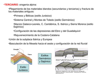 TERCIARIO : orogenia alpina: Plegamiento de los materiales blandos (secundarios y terciarios) y fractura de los materiales antiguos: Pirineos y Béticas (estilo Jurásico) Sistema Central y Montes de Toledo (estilo Germánico) Macizo Galaico-Leonés, C. Cantábrica, S. Ibérico y Sierra Morena (estilo Sajónico) Configuración de las depresiones del Ebro y del Guadalquivir Rejuvenecimiento de la Costero-Catalana Unión de la subplaca Ibérica y Europea Basculación de la Meseta hacia el oeste y configuración de la red fluvial Estilo Jurásico Estilos Germánico y Sajónico 