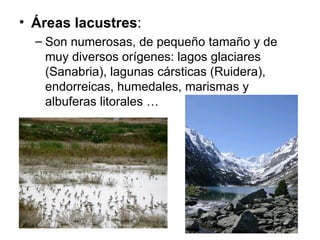 Áreas lacustres : Son numerosas, de pequeño tamaño y de muy diversos orígenes: lagos glaciares (Sanabria), lagunas cársticas (Ruidera), endorreicas, humedales, marismas y albuferas litorales … 