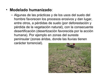 Modelado humanizado : Algunas de las prácticas y de los usos del suelo del hombre favorecen los procesos erosivos y dan lugar, entre otros, a pérdidas de suelo (por deforestación y pérdida de la vegetación natural), con la consecuente desertificación (desertización favorecida por la acción humana). Por ejemplo en zonas del sureste peninsular (zonas áridas, donde las lluvias tienen carácter torrencial). 