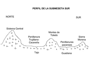 PERFIL DE LA SUBMESETA SUR NORTE SUR Sistema Central Penillanura Trujillano-Cacereña Tajo Guadiana Montes de Toledo Sierra Morena Penillanuras pacenses 