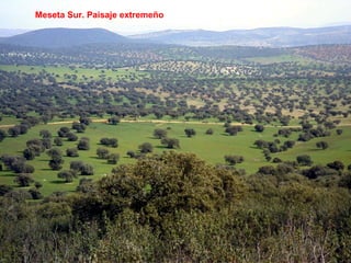 Meseta Sur. Paisaje extremeño 