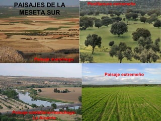 Paisaje manchego Paisaje extremeño Penillanura extremeña Paisaje castellano-manchego: La Alcarria PAISAJES DE LA MESETA SUR 