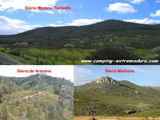 Sierra de Aracena Sierra Madrona Sierra Morena. Tentudía 