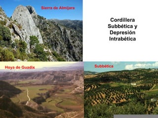 Hoya de Guadix Sierra de Almijara Subbética Cordillera Subbética y Depresión Intrabética 