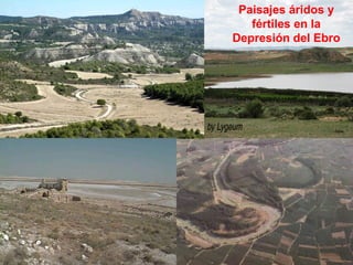 Paisajes áridos y fértiles en la Depresión del Ebro 