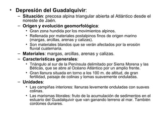 Depresión del Guadalquivir : Situación : precosa alpina triangular abierta al Atlántico desde el noreste de Jaén. Origen y evolución geomorfológica : Gran zona hundida por los movimientos alpinos. Rellenada por materiales postalpinos finos de origen marino (margas, arcillas, arenas y calizas). Son materiales blandos que se verán afectados por la erosión fluvial cuaternaria. Materiales : margas, arcillas, arenas y calizas. Características generales : Triángulo al sur de la Península delimitado por Sierra Morena y las Béticas, que se abre al Océano Atlántico por un amplio frente. Gran llanura situada en torno a los 100 m. de altitud, de gran fertilidad, paisaje de colinas y lomas suavemente onduladas. Unidades : Las campiñas interiores: llanuras levemente onduladas con suaves colinas. Las marismas litorales: fruto de la acumulación de sedimentos en el estuario del Guadalquivir que van ganando terreno al mar. También cordones dunares. 