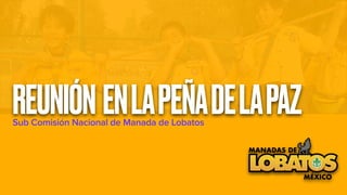 Sub Comisión Nacional de Manada de Lobatos
REUNIÓN ENLAPEÑADELAPAZ
 