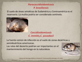 Paracoccidioidomicosis
                               P. brasiliensis
El suelo de áreas selváticas de Sudamérica y Centroamérica es el
reservorio. La mulita podría ser considerado centinela.




                              Coccidioidomicosis
                            C. immitis,C. posadasii
La fuente común de infección es el suelo de zonas desérticas y
semidesérticas americanas.
Las ratas del desierto podrían ser importantes en el
mantenimiento del hongo en la naturaleza.


            Cátedra de Micología Médica e Industrial | Carrera de Microbiología. FCV UNLP
 