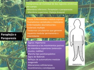 Compromiso de motilidad de dos regiones simétricas
               del cuerpo.
               -Miembros inferiores: Paraplejias o paraparesias
               - Miembros superiores: Diplejía braquial


               Causa: Enfermedades médula espinal
               Trumatismos vertebrales o medulares
               Enfermedades desmielizantes:
               Esclerosis multiple
               Trastornos circulatorios que generen
               isquemia medular permanente o
Paraplejía o   intermitente
Paraparesia
                Signos: Hipertonía
                Resistencia a los movimientos pasivos
                en miembros superiores (extensión
                muslos, rodillas)
                Marcha tipo paretoespástico
                Signo de Babinski
                Reflejos de automatismo medular
                exagerado
                Alteraciones esfinterianas.
                Incontinencia y constipación
 