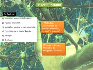 PLAN DE ESTUDIO

Se Explora:


                1) Motilidad:
                Movimientos de
                flexión y extensión,
                abducción y rotación




                 2)Fuerza muscular:
                 Maniobra de
                 Mingazzini yu Barré
 