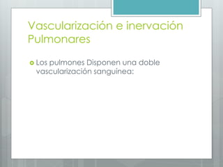 Vascularización e inervación 
Pulmonares 
 Los pulmones Disponen una doble 
vascularización sanguínea: 
 