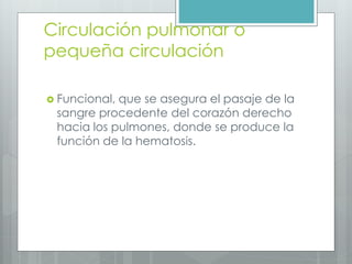 Circulación pulmonar o 
pequeña circulación 
 Funcional, que se asegura el pasaje de la 
sangre procedente del corazón derecho 
hacia los pulmones, donde se produce la 
función de la hematosis. 
 