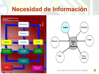 Necesidad de Información 