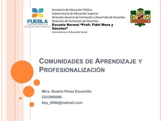 COMUNIDADES DE APRENDIZAJE Y
PROFESIONALIZACIÓN
Mtra. Beatriz Pérez Escamilla
2223060096
bey_0590@hotmail.com
Secretaría de Educación Pública
Subsecretaría de Educación Superior
Dirección General de Formación y Desarrollo de Docentes
Dirección de Formación de Docentes
Escuela Normal “Profr. Fidel Meza y
Sánchez”
Licenciatura en Educación Inicial
 