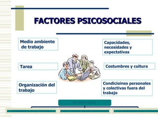 FACTORES PSICOSOCIALES Medio ambiente de trabajo Tarea Organización del trabajo Capacidades, necesidades y expectativas Costumbres y cultura Condicioines personales y colectivas fuera del trabajo 
