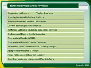 * Tamayo, L. - 2016
Experiencias Organizativas Novedosas
Cooperativa La Alianza - Truekes de saberes
Breve Explicación del Calendario Productivo
Maestro Pueblo como Teoría de Conocimiento
Colectivo de Investigación Maestro Café
De Manos a La Siembra a la Semilla Campesina o Viceversa
Celebración del Día de la Semilla Campesina
Experiencia del Trueke SAQUITO
Experiencia del Mercado Comunal Campesino
Relación del Trueke con la Diversidad Cultural y Ecológica
¿Qué podemos Ofrecer en el Trueke?
¿Cómo Funciona, qué se hace para lograrlo?
Estas Experiencias y su relación con el Plan de la Patria
 