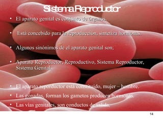 Sistema Reproductor El aparato genital es conjunto de órganos. Está concebido para la reproducción, sintetiza hormonas. Algunos sinónimos de el aparato genital son; Aparato Reproductor, Reproductivo, Sistema Reproductor, Sistema Genital.  El aparato reporductor está constituido, mujer – hombre. Las gónadas, forman los gametos producen hormonas. Las vías genitales, son conductos de salida. 
