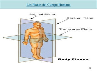 Los Planos del Cuerpo Humano 