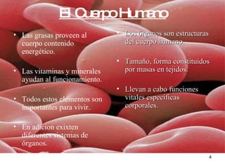 El Cuerpo Humano Las grasas proveen al cuerpo contenido energético. Las vitaminas y minerales ayudan al funcionamiento. Todos estos elementos son importantes para vivir. En adicion exixten diferentes sistemas de órganos. Los órganos son estructuras del cuerpo humano. Tamaño, forma constituidos por masas en tejidos. Llevan a cabo funciones vitales específicas corporales. 