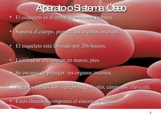 Aparato o Sistema  Óseo El esqueleto es el armazón anatomía humana. Soporta el cuerpo, protege sus órganos internos.   El esqueleto está formado por 206 huesos. La mitad se encuentran en manos, pies.  Se encarga de proteger  los órganos internos. Algunos huesos son; vértebras cervicales, carpianos, clavícula. Estos elmentos componen el sistema de huesos. 