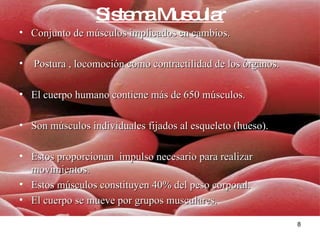 Sistema Muscular Conjunto de músculos implicados en cambios.  Postura , locomoción como contractilidad de los órganos. El cuerpo humano contiene más de 650 músculos. Son músculos individuales fijados al esqueleto (hueso). Estos proporcionan  impulso necesario para realizar movimientos.  Estos músculos constituyen 40% del peso corporal. El cuerpo se mueve por grupos musculares. 
