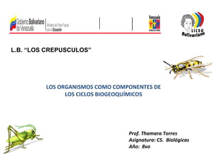 L.B. “LOS CREPUSCULOS” LOS ORGANISMOS COMO COMPONENTES DE LOS CICLOS BIOGEOQUÍMICOS Prof. Thamara Torres  Asignatura: CS.  Biológicas Año:  8vo  