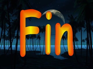 Fin 
